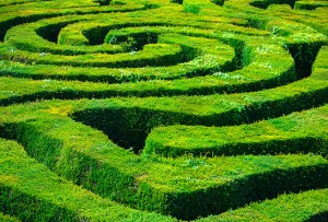 maze
