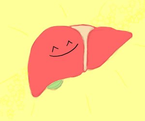 happy liver