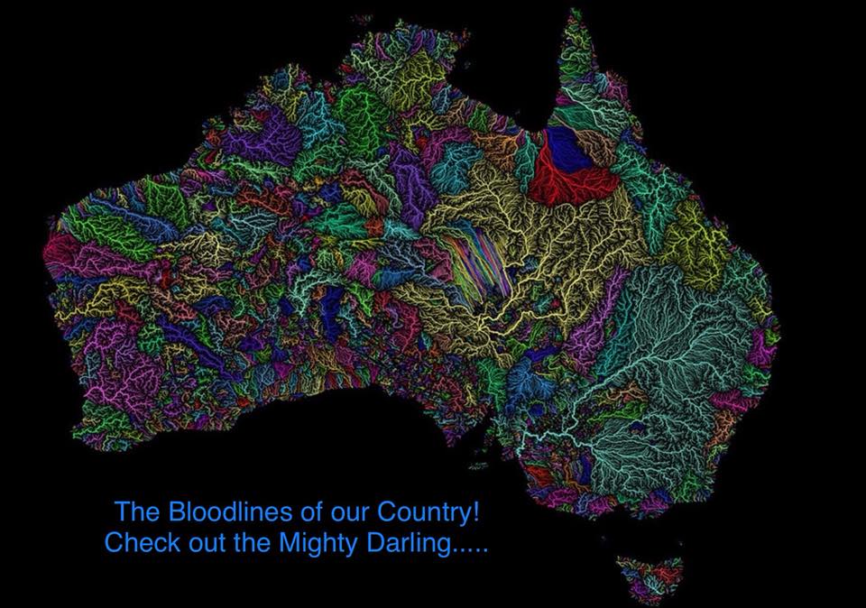 51290641_2146095558781696_7586600811128422400_n